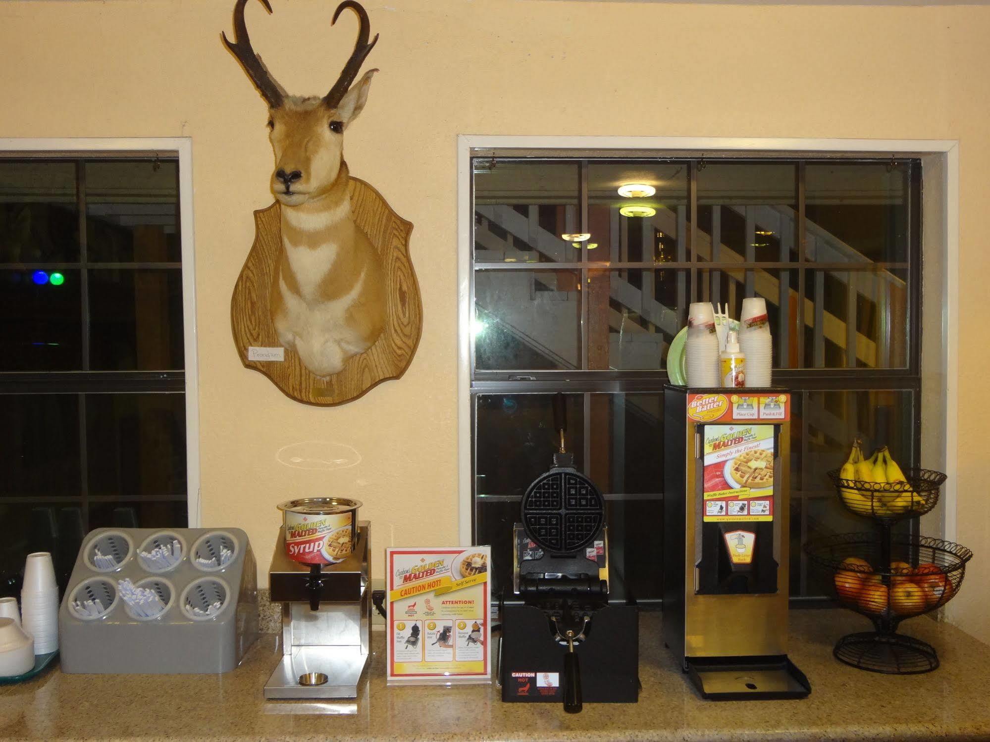 Antlers Inn Goliad Kültér fotó
